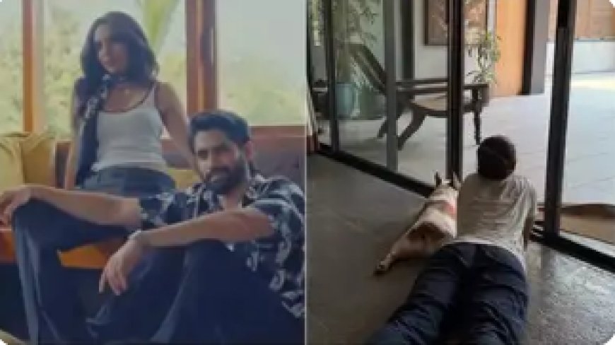 Naga Chaitanya Spotted Enjoying Sunday with Sobhita Dhulipala and Dog Hash; Fans Wonder About Samantha’s Pet?