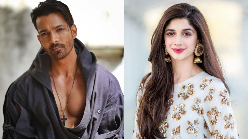 Harshvardhan Rane Responds to Mawra Hocane’s 'PR Strategy' Remark: ‘So Much Hate in Her Speech’